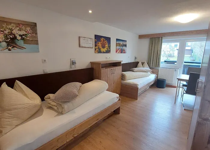 Haidegger * Ίνσμπρουκ