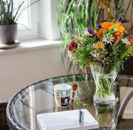 דירה Haidegger *